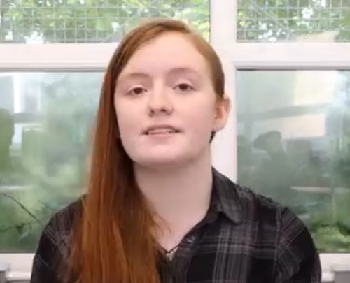 IMG 5252.png