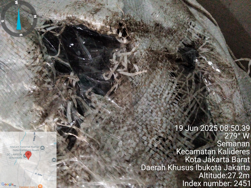 TimePhoto 20250619 085039.jpg