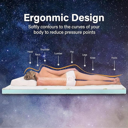 71Z3hG p2HL. AC SX679 .jpg