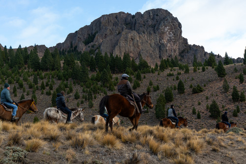 1750259762 353793c432de6a8e019e.jpg