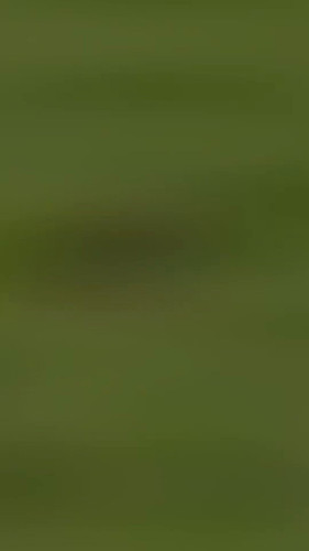 Iu IWlSrn3kwO30T.jpg