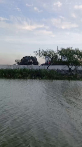 GrhSQ452A5 YYdMp.jpg