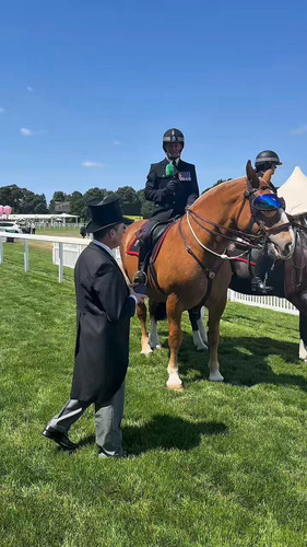 rbvaT6SXH8Y40Y 3.jpg