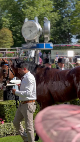 tdPtmdsDZFF xjjZ.jpg