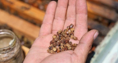 509286807 1048310384101214 1578627933624410710 n.jpg? nc cat=103&ccb=1 7& nc sid=833d8c& nc ohc=aScM.jpg