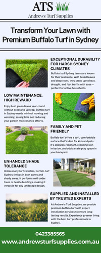 Buffalo turf sydney.jpg