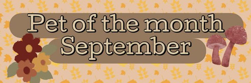 e105a16d ca73 4c5e b9b2 88b848d96311.jpg