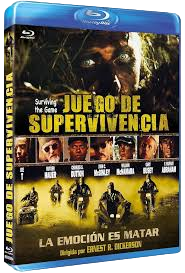 images preview rev 1.png