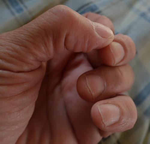 IMG 20250819 162337.jpg