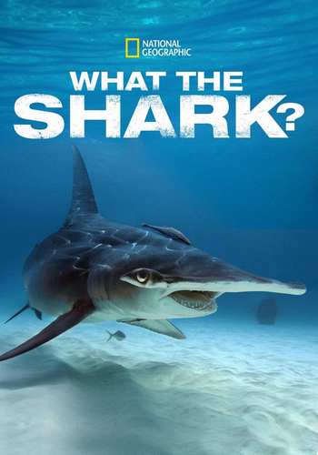 Screenshot 2025 08 19 at 16 48 29 what the shark.jpg (obraz JPEG 718×1024 pikseli) — Skala (55 ).png