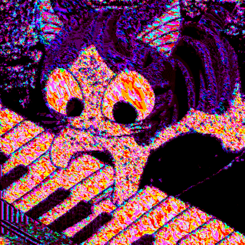 cat piano.gif
