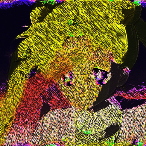 SAILR shadowfeedback.gif