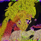 SAILR shadowfeedback