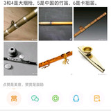 卡祖笛5