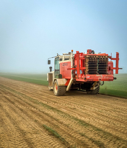 High quality grass sod leesburg.jpg