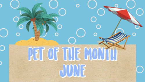 49fa0981 83a1 41af acbb 343726e9c6ad.jpg