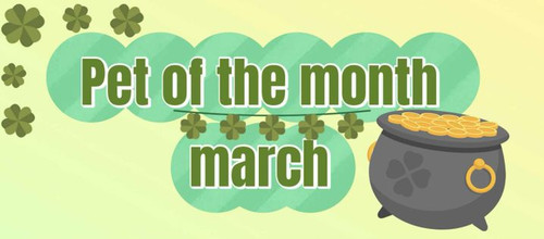 53bb6ce7 8ae5 4558 af5d 157c8d1a3fd1.jpg