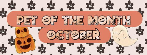 221a07aa 6669 41cd b335 8bc6fe7c2fb0.jpg