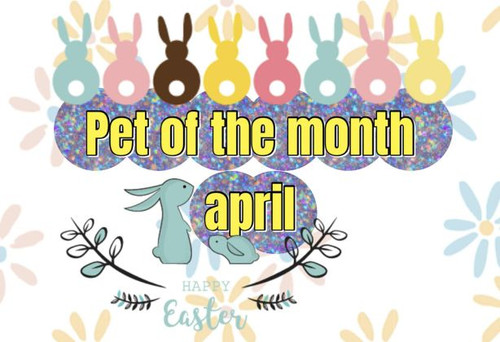 3aeea307 6754 4631 9d14 61cf119d2320.jpg