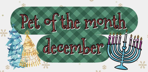 44723e3b ec19 4daa b273 180e8306f783.jpg