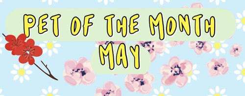 2bd14c3a 31a0 4c1e 9afa 6512b55d30cb.jpg