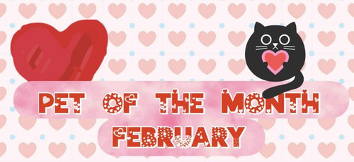 76e9f04c 2b5b 48e4 b12b 8d2488f122d0.jpg