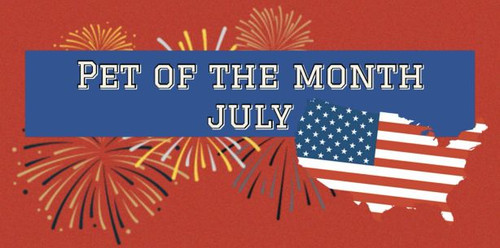 267462cc c47b 4353 90a7 d9f262e76922.jpg