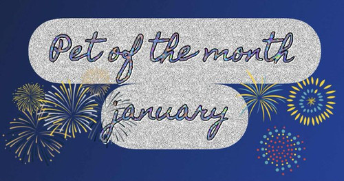 8d1080a1 d560 44c0 934d 6c224d1a32ee.jpg