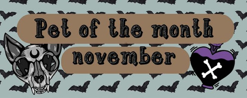 84b3f093 1045 45c5 b2d0 e54b41a302b4.jpg