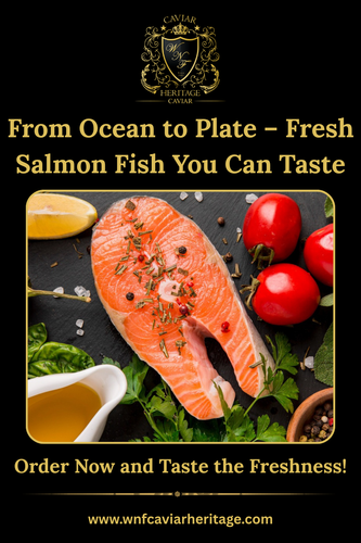 Fresh Salmon Fish in Dubai – Caviar Heritage.png