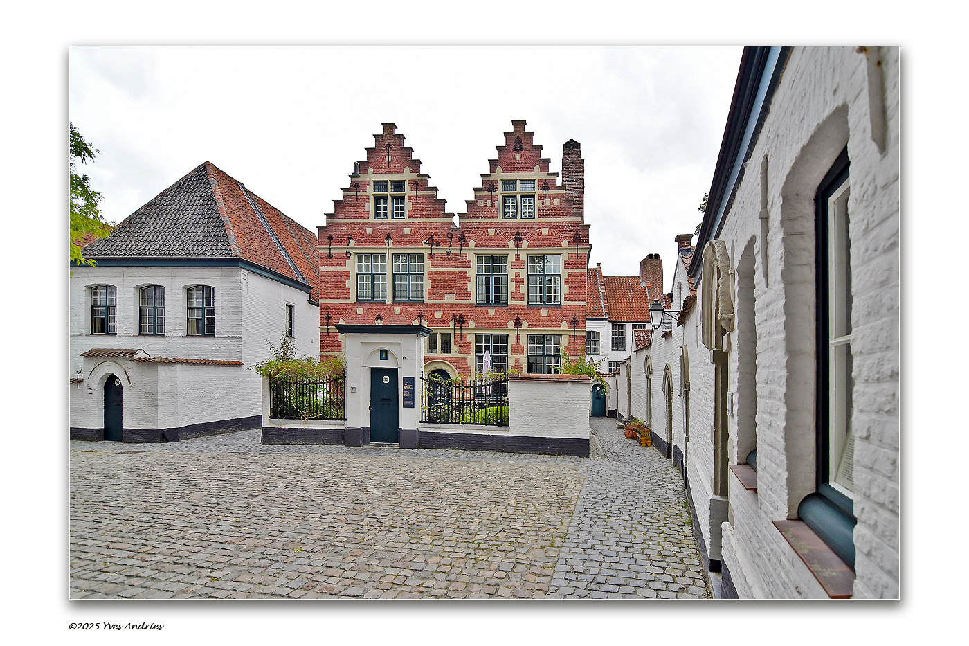 Fotografie