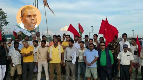 Untitled design (24).png