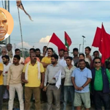 Untitled design (24)