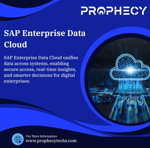 WhatsApp Image 2025 08 19 at 11.31.54 AM.jpg