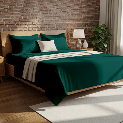 Teal (6).jpg