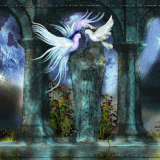 Belle image (45)