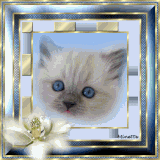 Belle image (44)