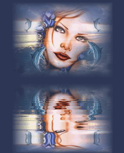 88a88037.gif