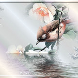 Belle image (108)