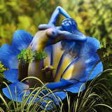 Belle image (150)