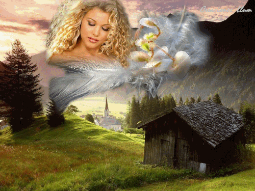 bb449800.gif