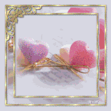 hcd5b8or