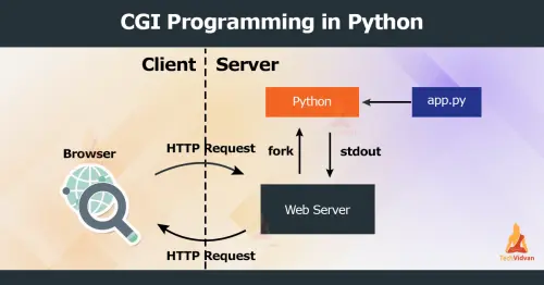 cgi programming in python.webp
