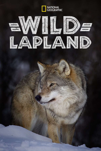 Screenshot 2025 08 19 at 20 33 38 711781 wild lapland 0 1000 0 1500 crop.jpg (obraz JPEG 1000×1500 p.png
