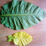 IMG 20250819 150710930