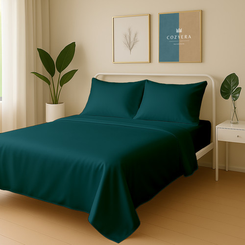 Teal (10).jpg