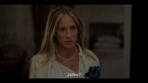 And Just Like That ... S01E01.1080p.AMZN.WEB DL.DDP5.1.H.264.DUAL FLY.mkv snapshot 40.18.416.png