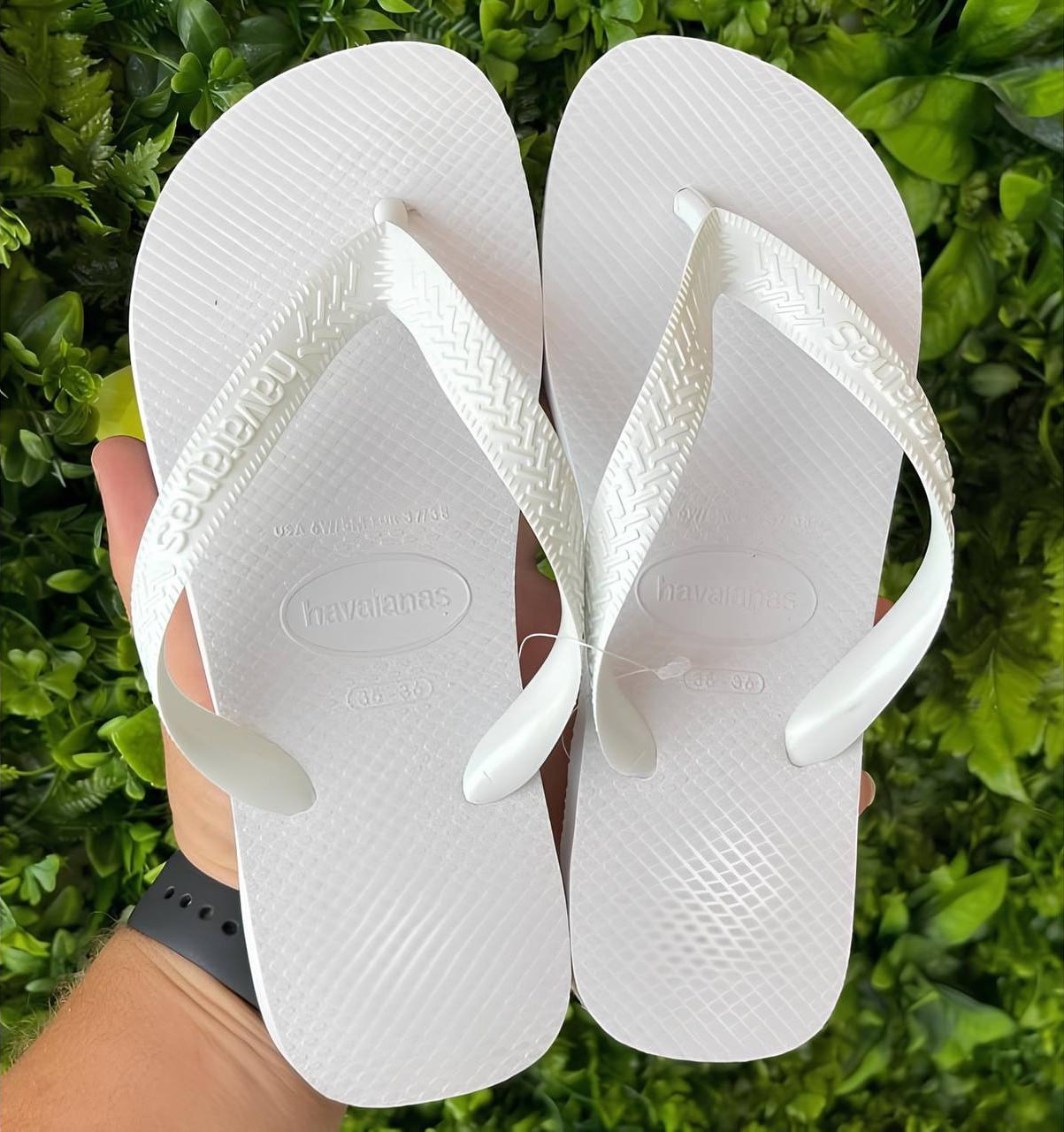 Chinelo Havaianas Sandalia Top Confortável Original