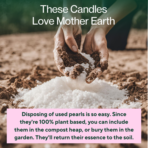 07 Love Mother Earth.png