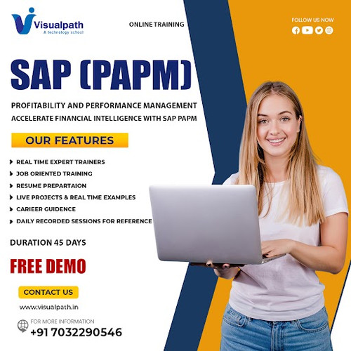 SAP PaPM Online | Top SAP PaPM Training in Ameerpet.jpg
